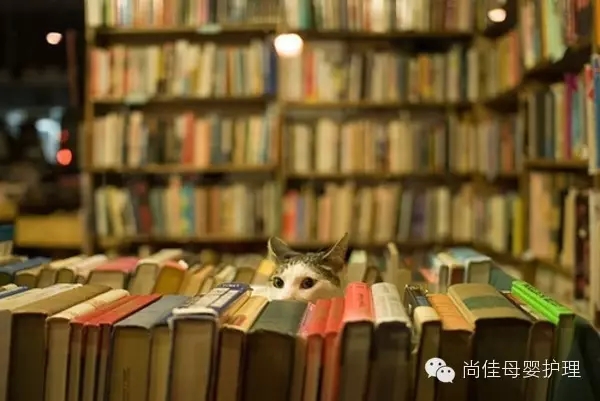 家政服務(wù)員中五大錯誤要點(diǎn)，您中招了嗎？